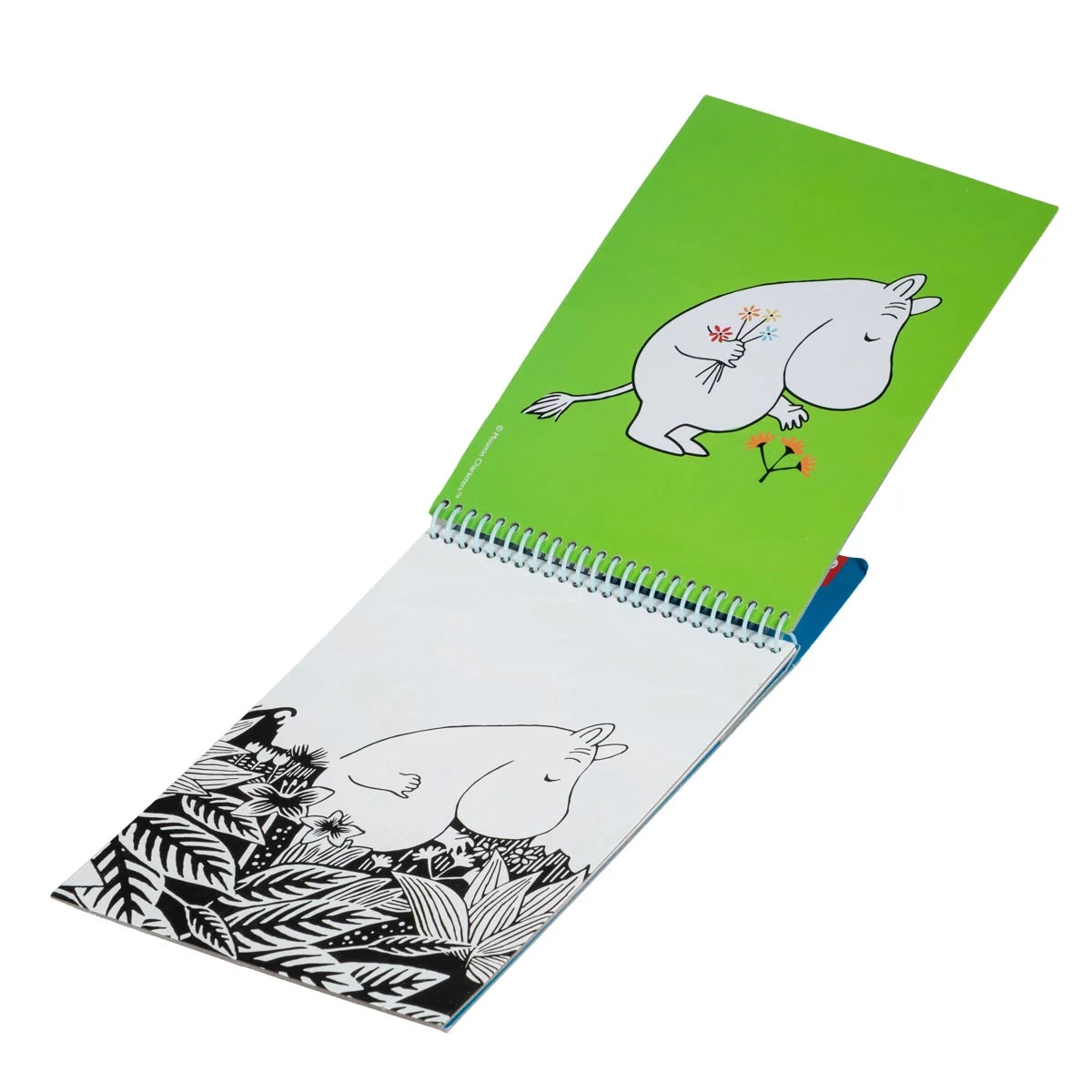 Mumin Vattenmagi (Magic water)
