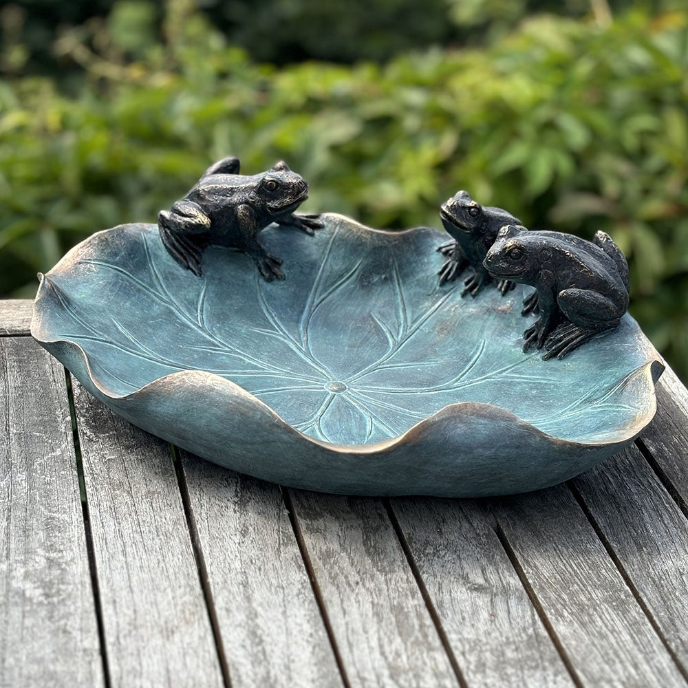 Trädgårdens sagodamm - Lotusgroda