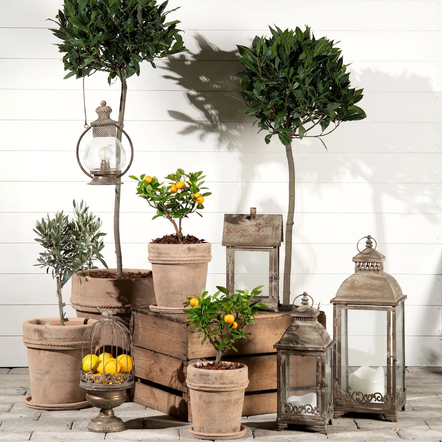 Ljuslykta Hus Metall Grön - Ett set