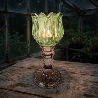 Bohemlykta Tulpan Grön