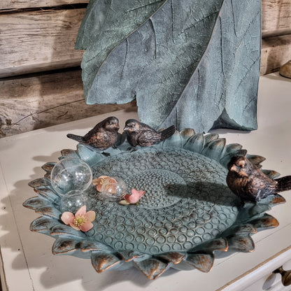 Fåglarnas solbrunn - Solrosfågel