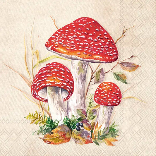 Toad Creme Lunch 33x33 cm