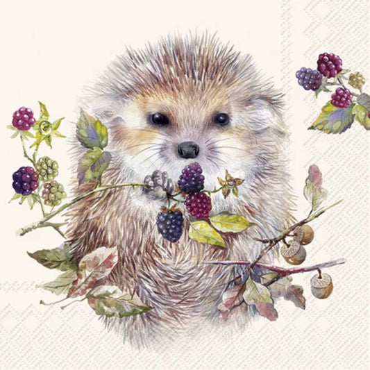 Forest Hedgehog Cream Kaffe 25x25cm