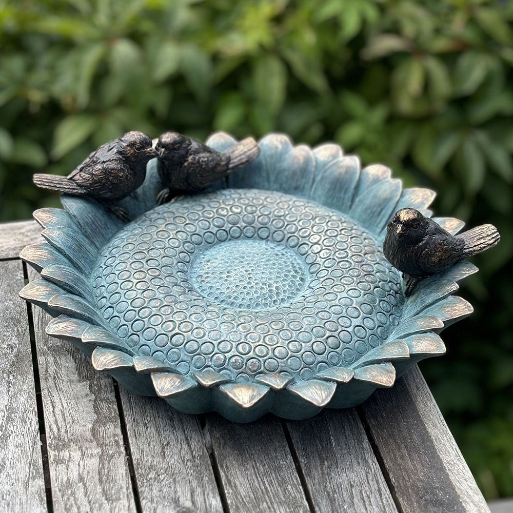 Fåglarnas solbrunn - Solrosfågel