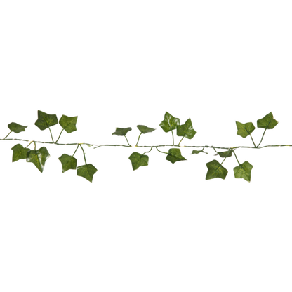 Ljusslinga Ivy