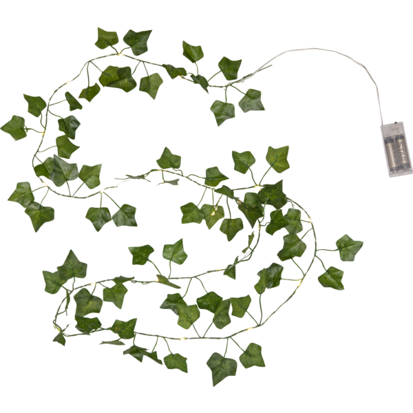 Ljusslinga Ivy