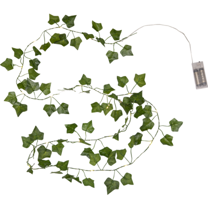 Ljusslinga Ivy