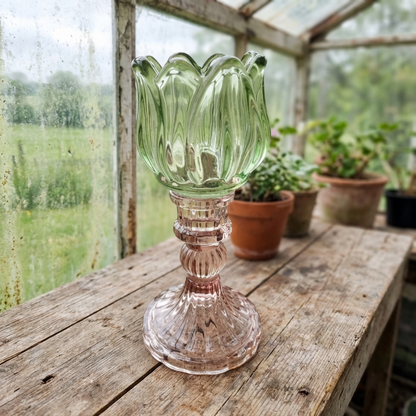 Bohemlykta Tulpan Grön